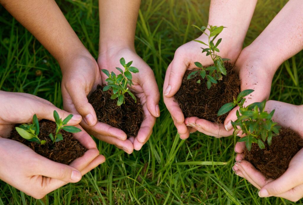 Capa Seo preservacao 1024x692 1
