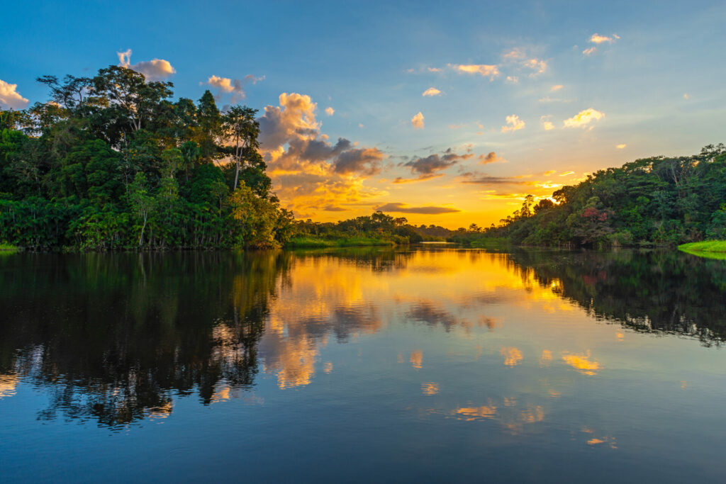 shutterstock 1255870312 1024x683 1