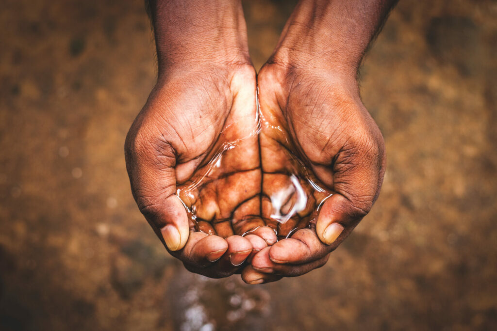 shutterstock 1436341607 1024x683 1