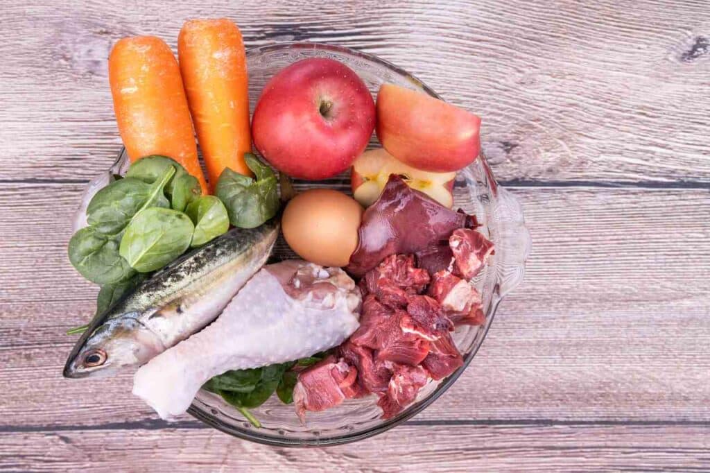 alimentos que diminuem a queda de pelo de cachorro e seus nutrientes