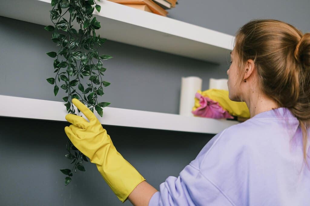 como fazer uma lista de produtos de limpeza
